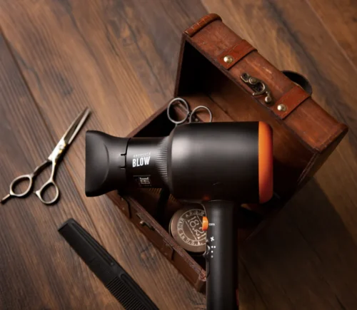 Professional Ionic Hair Dryer