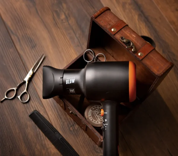 Professional Ionic Hair Dryer